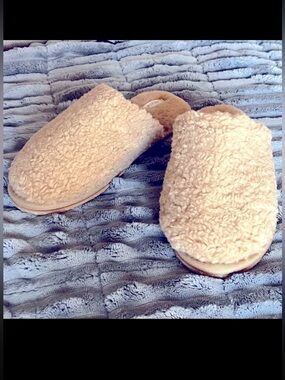 Brand New Never Worn Teddy Bear Slippers